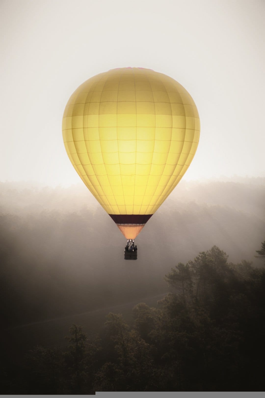 Yellow hot air balloon floating above a misty pine forest with sunbeams piercing through the morning fog.