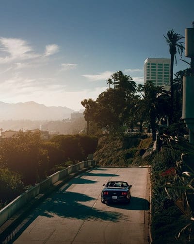 car, convertible, road, palm trees, mobile wallpaper, android wallpaper, iPhone wallpaper, phone wallpaper