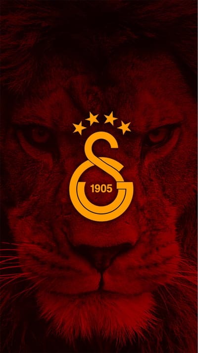 GALATASARAY - ASLAN, cimbom, football, football, lion, turkiye 