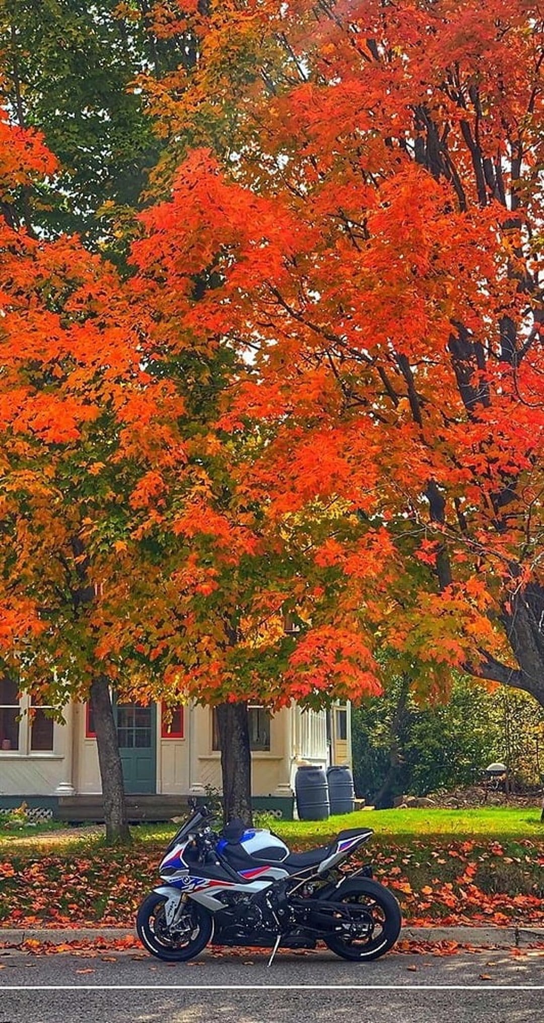 Sport motorcycle parked on a rural road covered in orange autumn leaves with a house and trees in the background.