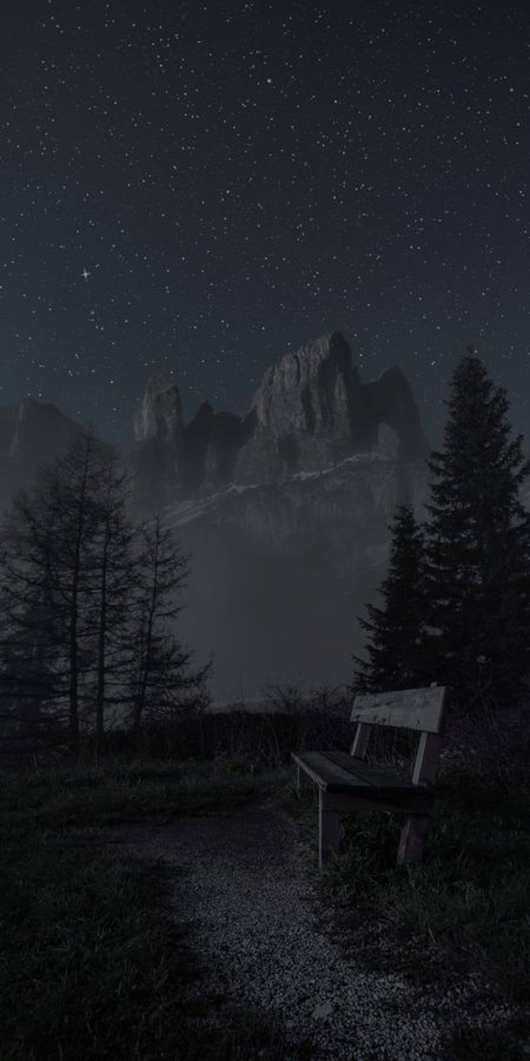 Wooden bench on a gravel path facing mist-shrouded mountains under a star-filled sky with dark pine silhouettes.