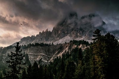mountain landscape, misty mountains, dark forest, pine trees, dramatic sky, ominous clouds, nature photography, rugged peaks, wild nature, alpine scenery, foreboding atmosphere, moody landscape, stormy weather, mountain range, dense forest, bird in flight, outdoor adventure, scenic view, national park, wilderness, dusk, twilight