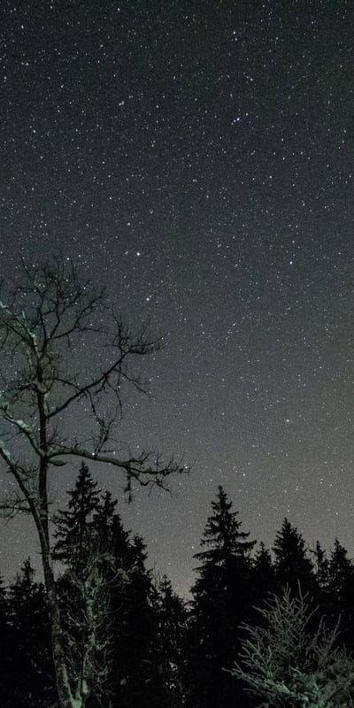 Night, Nature, Stars, Sunset, Forest, Mountains, Landscape, Dark, Serene, Celestial, Tranquility, Outdoors, Silhouette, Cosmic, Stargazing, Wilderness, Peaceful, Calm, Horizon, Moon, Roads, Campfire, Snow, Galaxy, Sky, Astrophotography, Scenic, Vista, Misty, Desert, Evergreen, Lake, Twilight