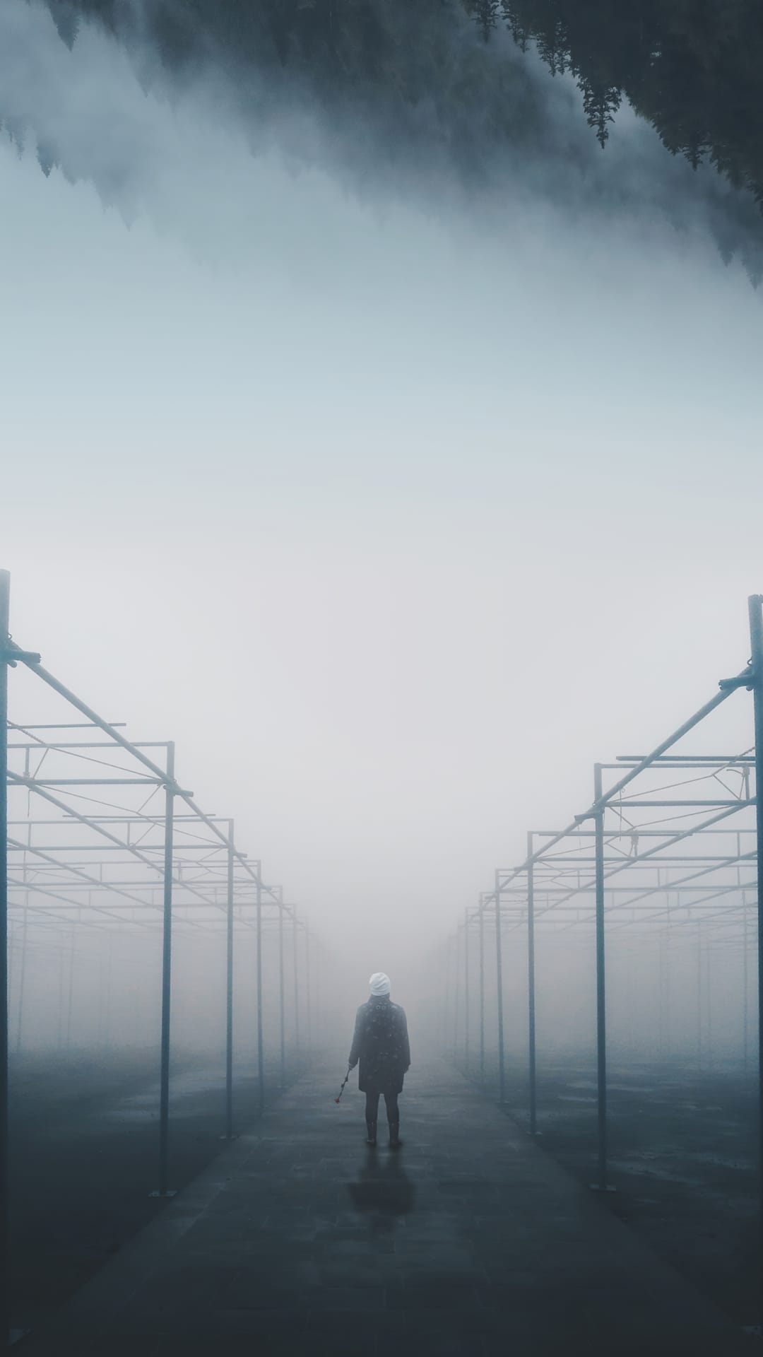 Solitary person standing amidst foggy metal scaffolding with inverted evergreen trees visible through heavy mist.