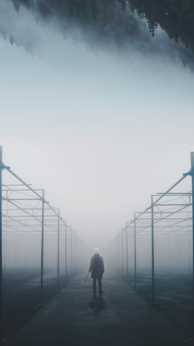 fog,boy,dark