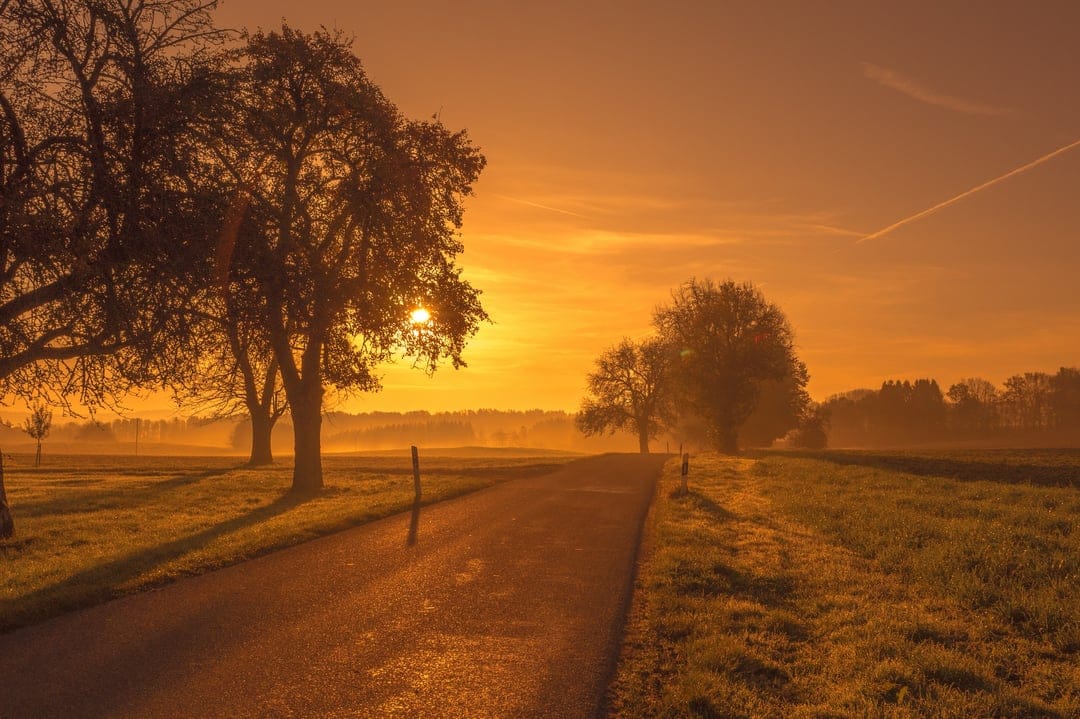 Sunlit country road lined with silhouetted trees under a glowing orange sky with soft morning mist in the distance.