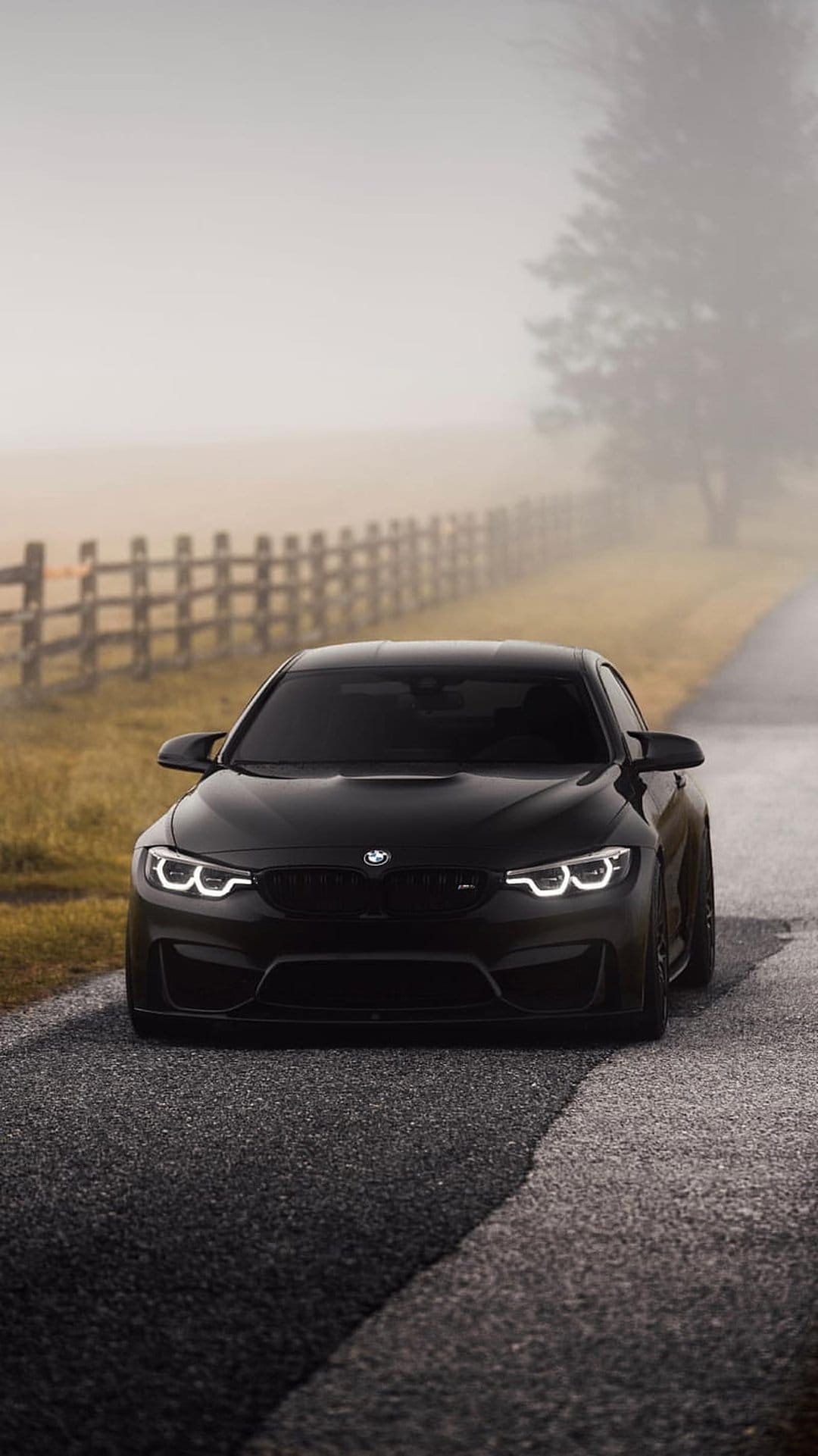 Black BMW M4 with glowing headlights parked on a foggy country road beside a wooden fence in early morning light.
