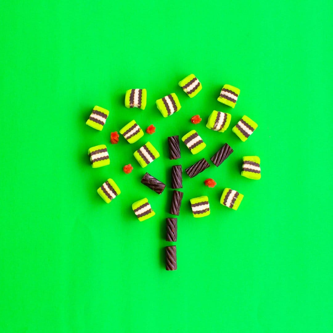 Black licorice tree featuring green striped candy leaves and red fruit against a solid green background.