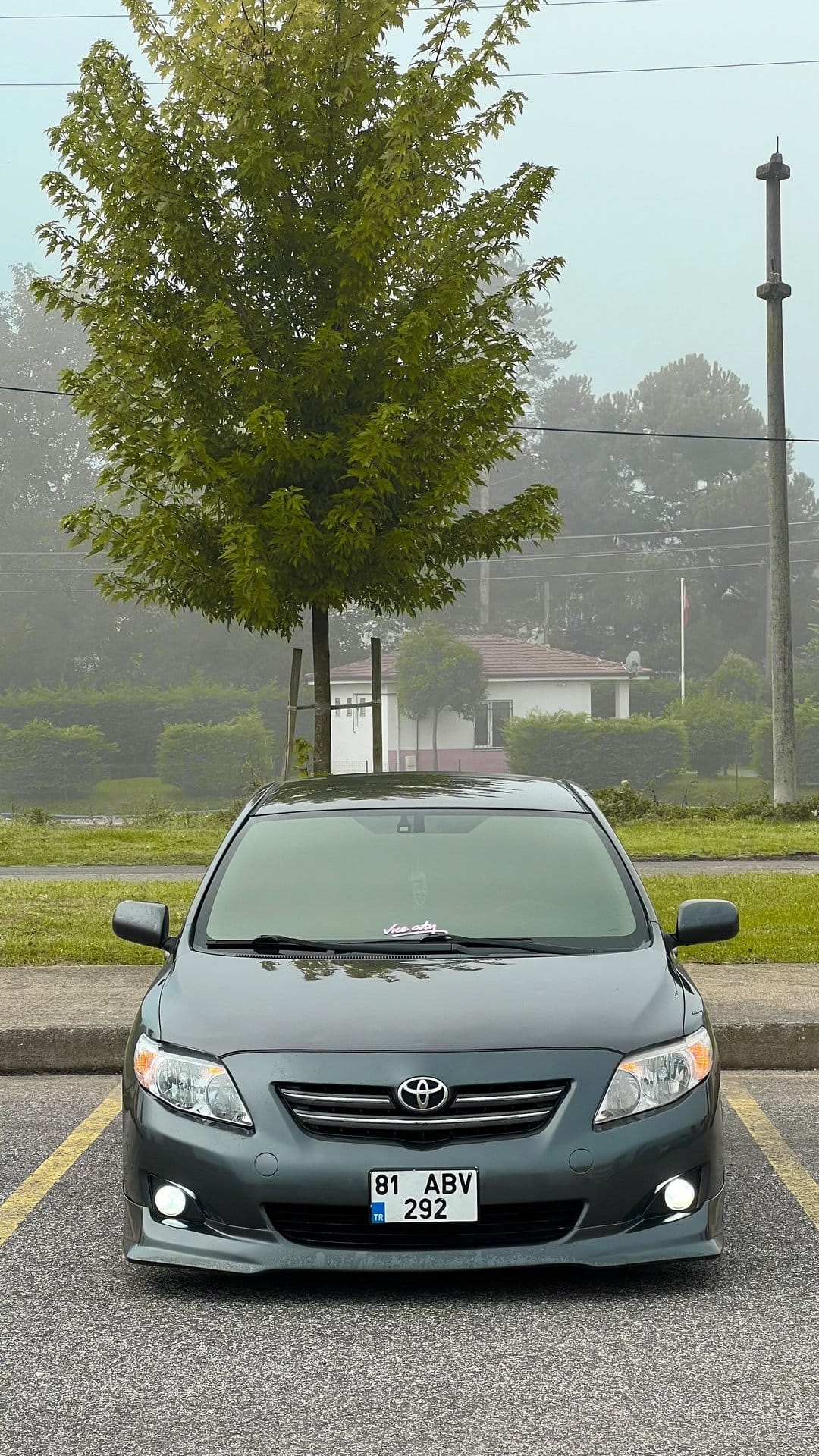 Grey Toyota Corolla with illuminated headlights parked in front of a large leafy tree on a foggy, overcast morning.