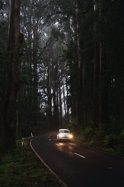 car, retro, road, trees, headlights, glow, mobile wallpaper, android wallpaper, iPhone wallpaper, phone wallpaper