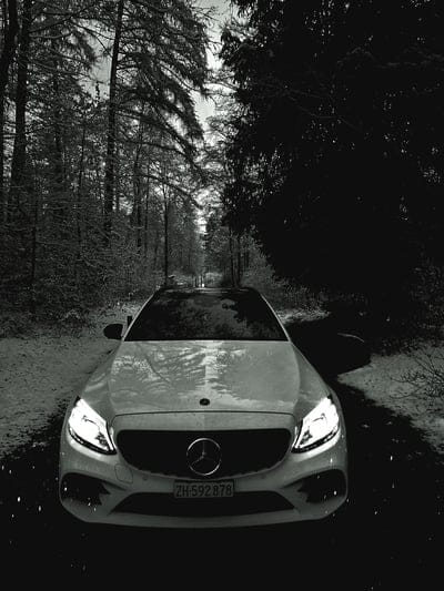 mercedes,car,amg,white,forest,nature