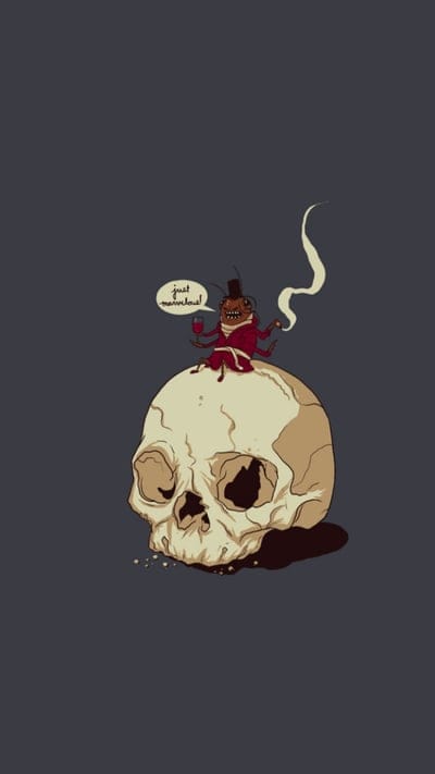 Just marvelous,beetle,skull