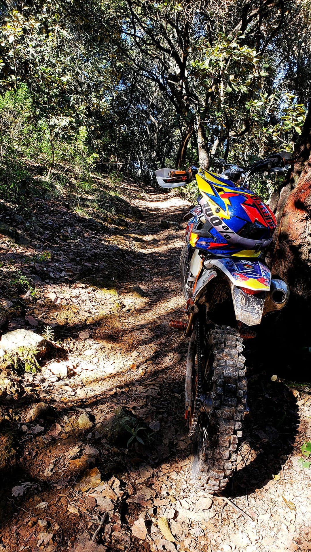 Dirt bike parked on a forest trail under dappled sunlight filtering through dense green overhead trees.