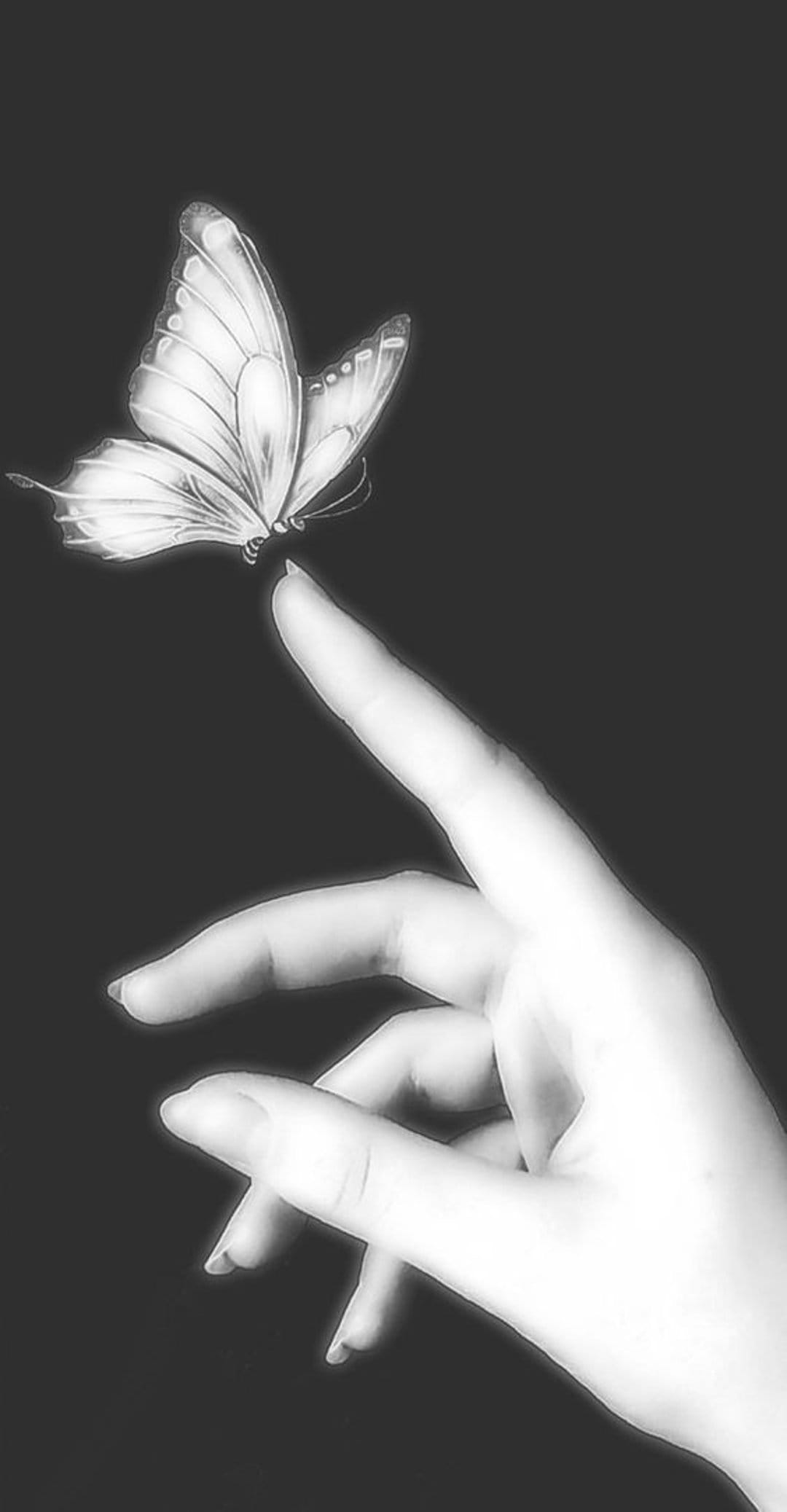 Butterfly with patterned wings perches on a person's fingertip in a high-contrast black and white macro shot.