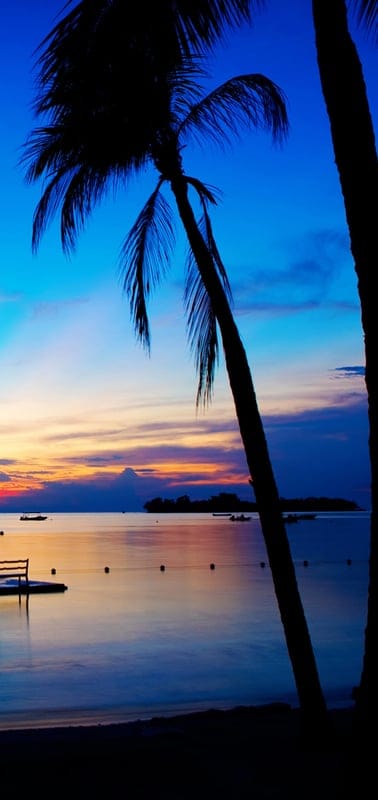 Tropical, sunset, beach, ocean, palm trees, paradise, serene, vibrant, twilight, island, calm, water, beautiful, peaceful, vacation, exotic, reflections, tranquil, idyllic, colorful