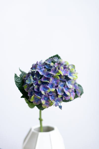 Purple and blue hydrangea petals in a faceted white ceramic vase stand against a plain white studio background.