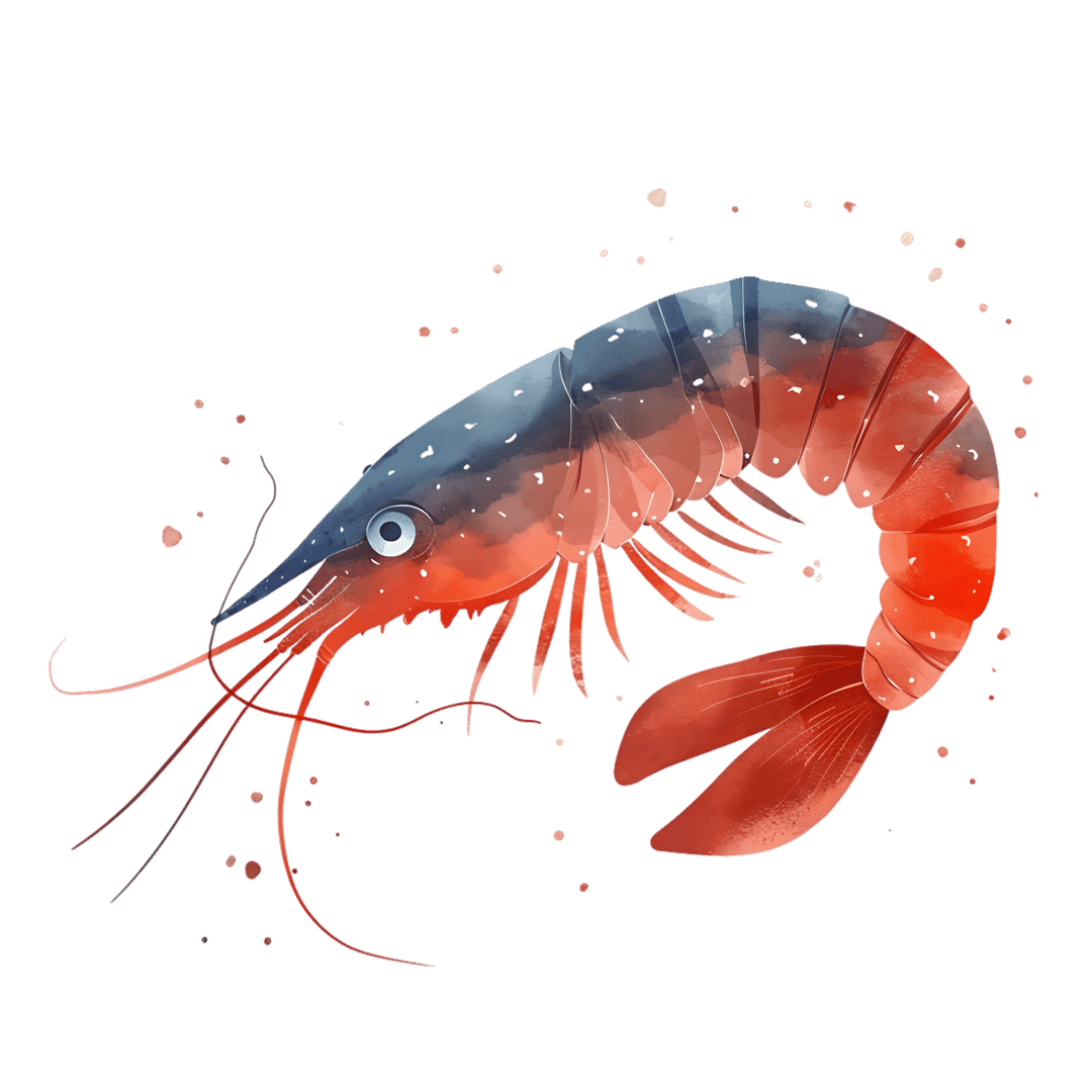 Watercolor shrimp illustration featuring vibrant red and blue pigments with artistic paint splatters on body.
