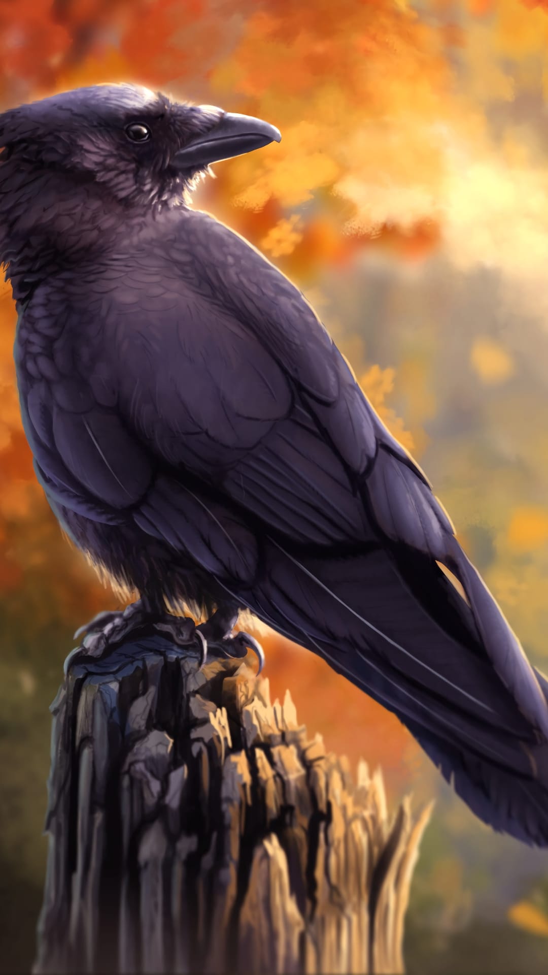 Black crow with iridescent feathers perched on a tree stump surrounded by blurred orange autumn forest leaves.