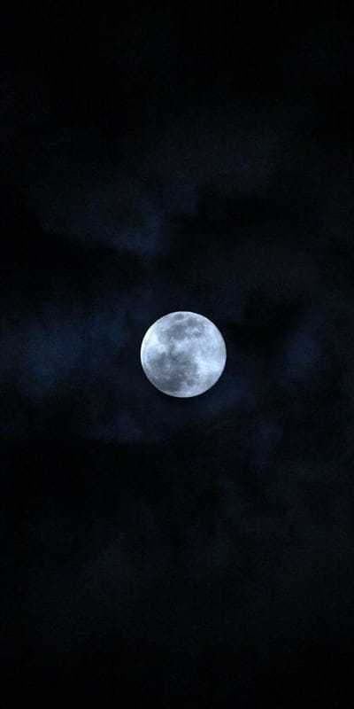 Night, Moon, Stars, Campfire, Forest, Landscape, Dark, Serene, Nature, Celestial, Tranquility, Outdoors, Silhouette, Cosmic, Stargazing, Wilderness, Peaceful, Calm, Galaxy, Moonlight