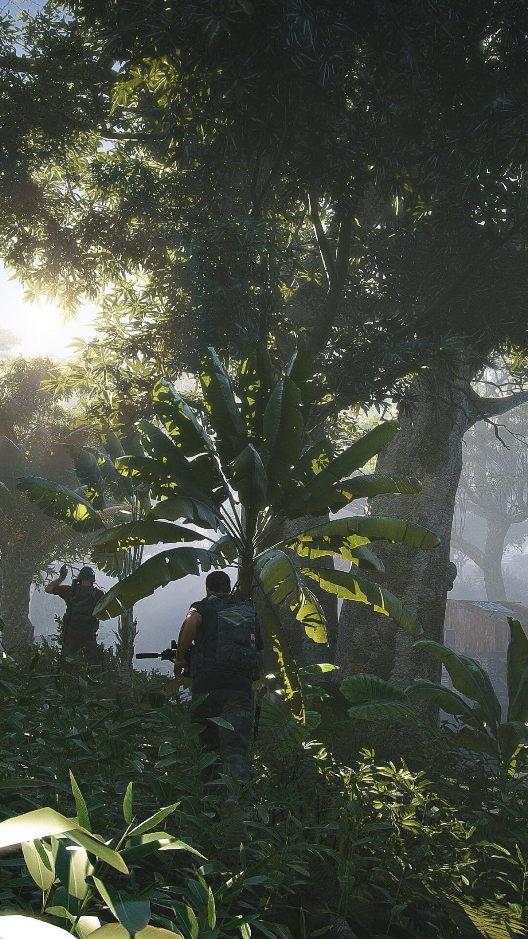 Two tactical soldiers moving through a dense tropical jungle with sunlight filtering through large leaves.