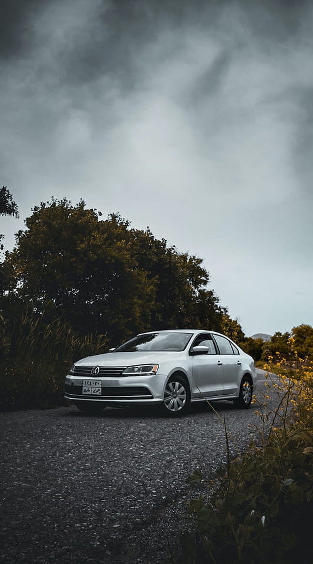 Silver Volkswagen Jetta sedan on a gravel road lined with yellow wildflowers under a dramatic overcast sky.