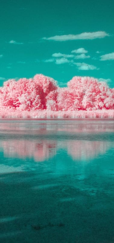 Infrared, surreal, vibrant, pink, teal, abstract, landscape, nature, fantasy, dreamlike, trees, water, reflections, otherworldly, unique, colorful, artistic, ethereal, unusual, cotton candy