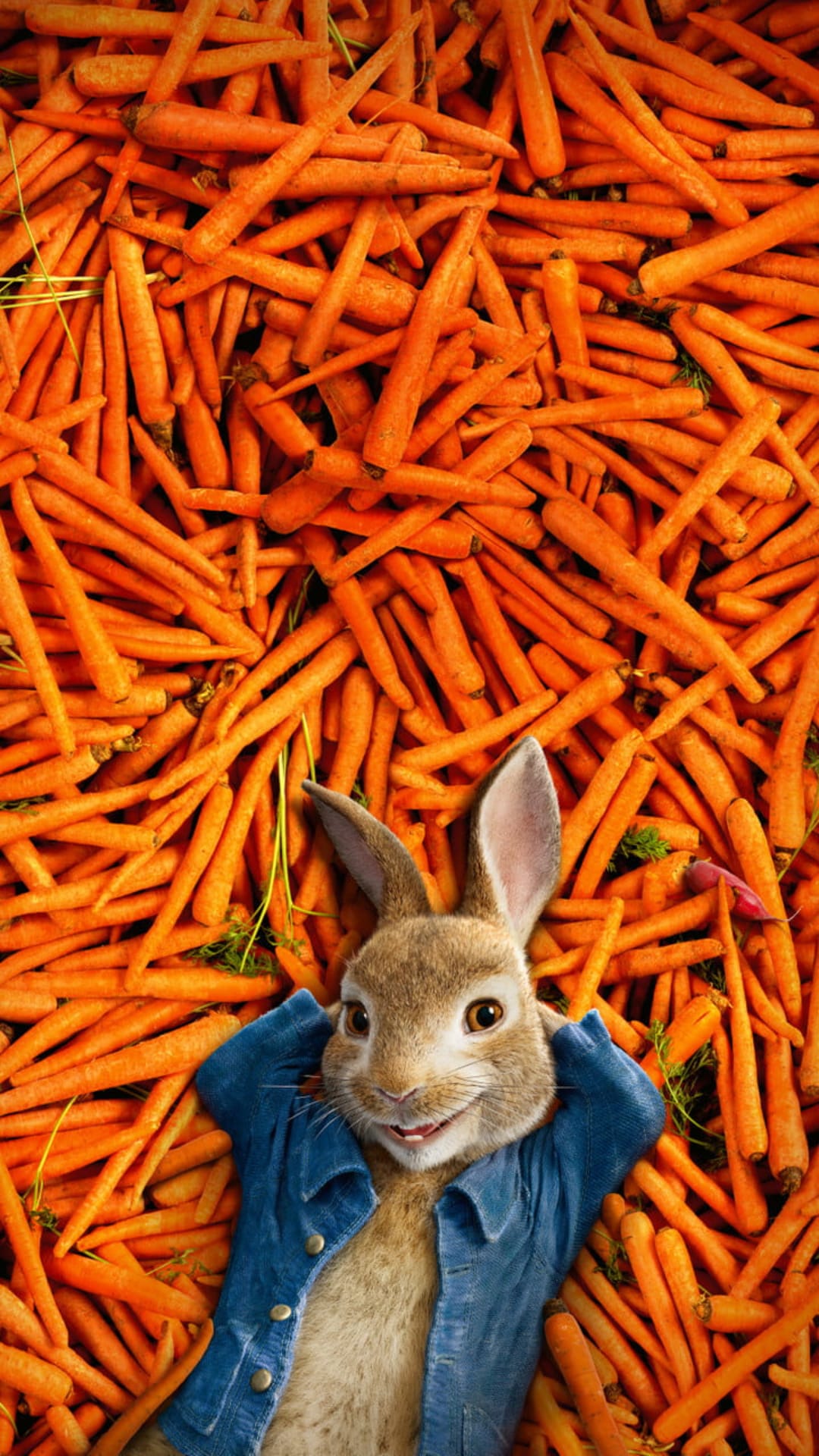 Peter Rabbit relaxes on a mound of fresh carrots wearing a blue jacket with a happy, peaceful smile.
