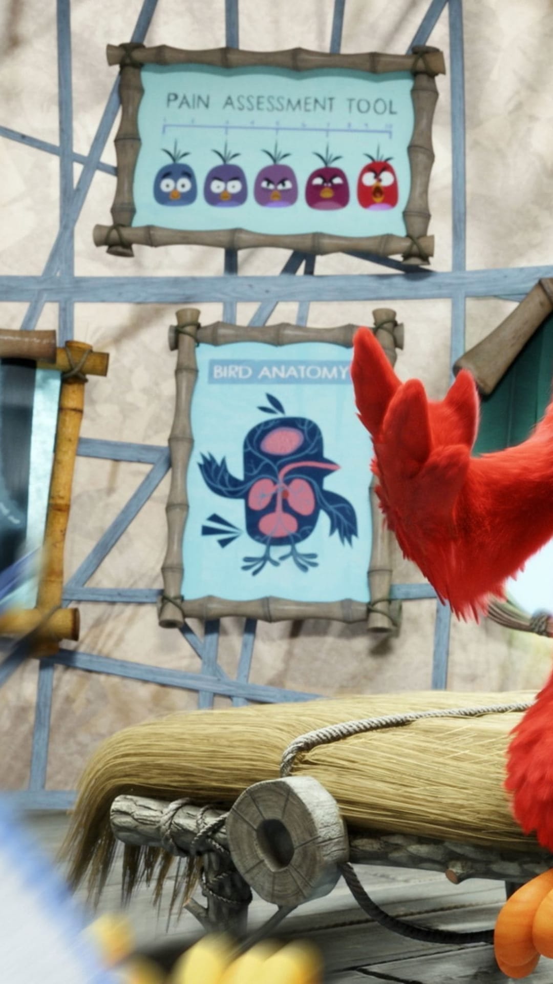 Red Angry Bird stands before a pain assessment chart and avian anatomy diagram in a wooden medical clinic.