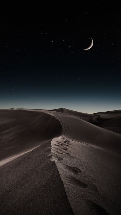 desert,dunes,sand,moon,footprints,starts,night