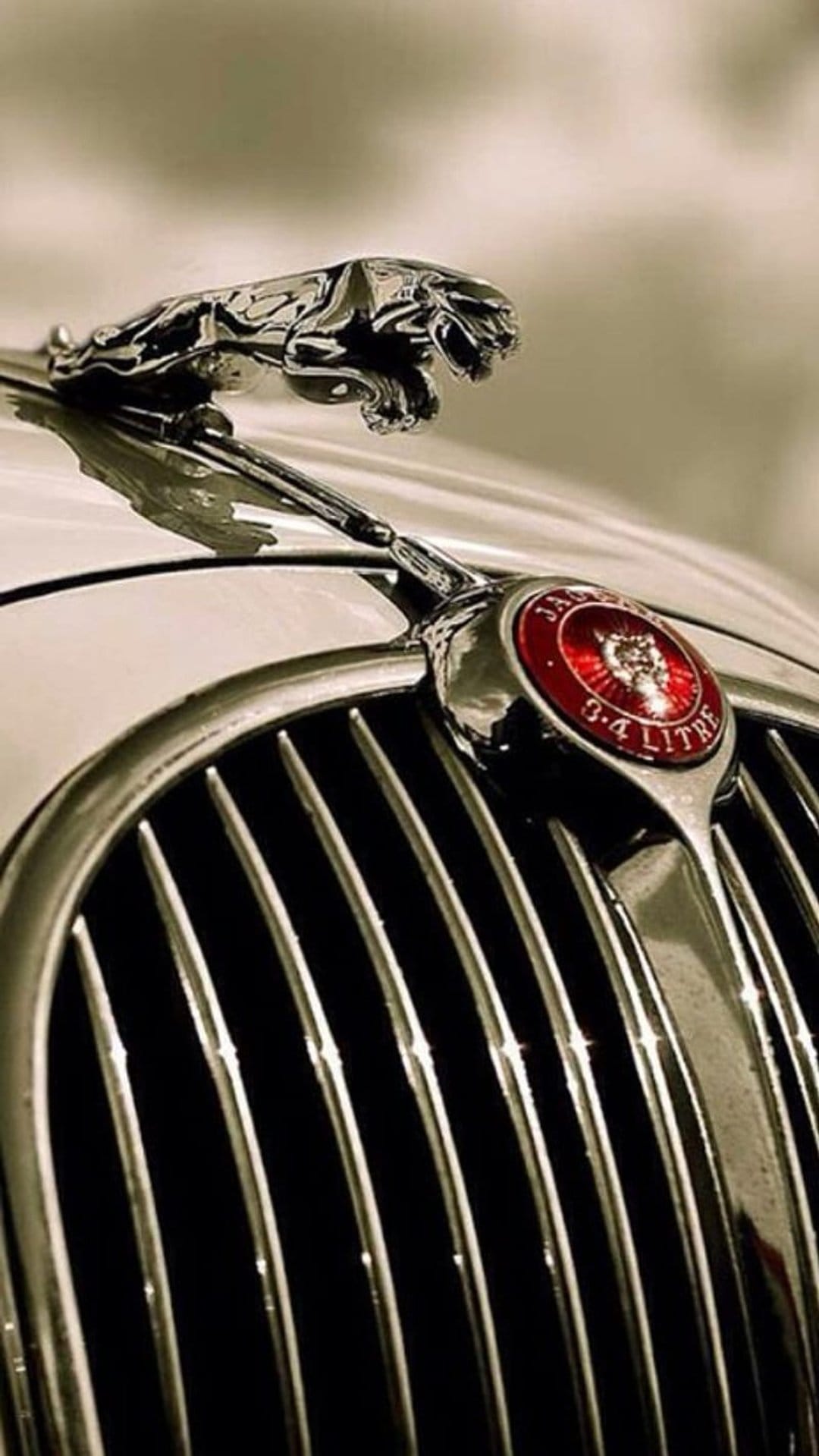 Jaguar leaping cat hood ornament and chrome grille with a red 3.4 Litre badge in a sepia-toned close-up.