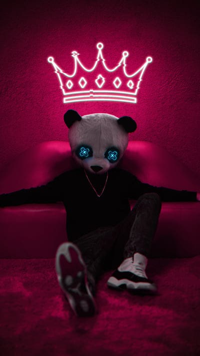 man,panda,mask,crown,king,neon