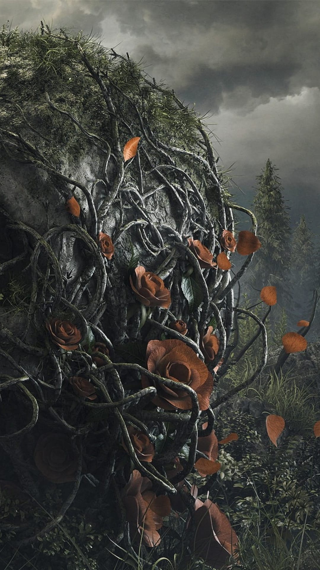 Red roses blooming among gnarled roots on a mossy rock under a gloomy, overcast sky in a misty forest setting.
