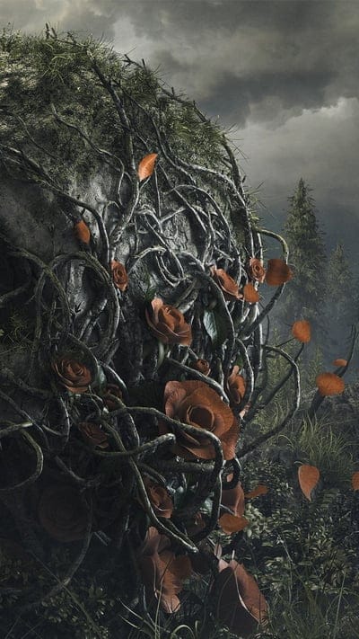 Skull and Roots,dark,death,flowers,forest,gothic,night,roses, skull