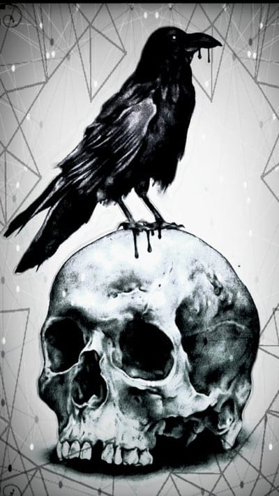 Crow n Skull, black, crow, crows, dark, goth, raven, skeleton, skull, skulls, white