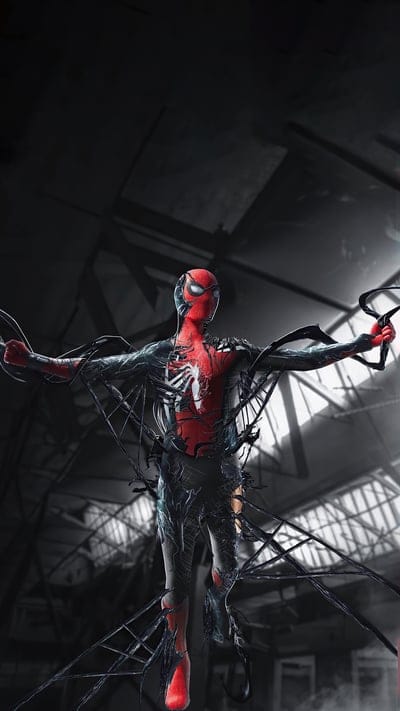 spiderman,rad,black