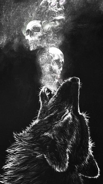 Wolf,skulls