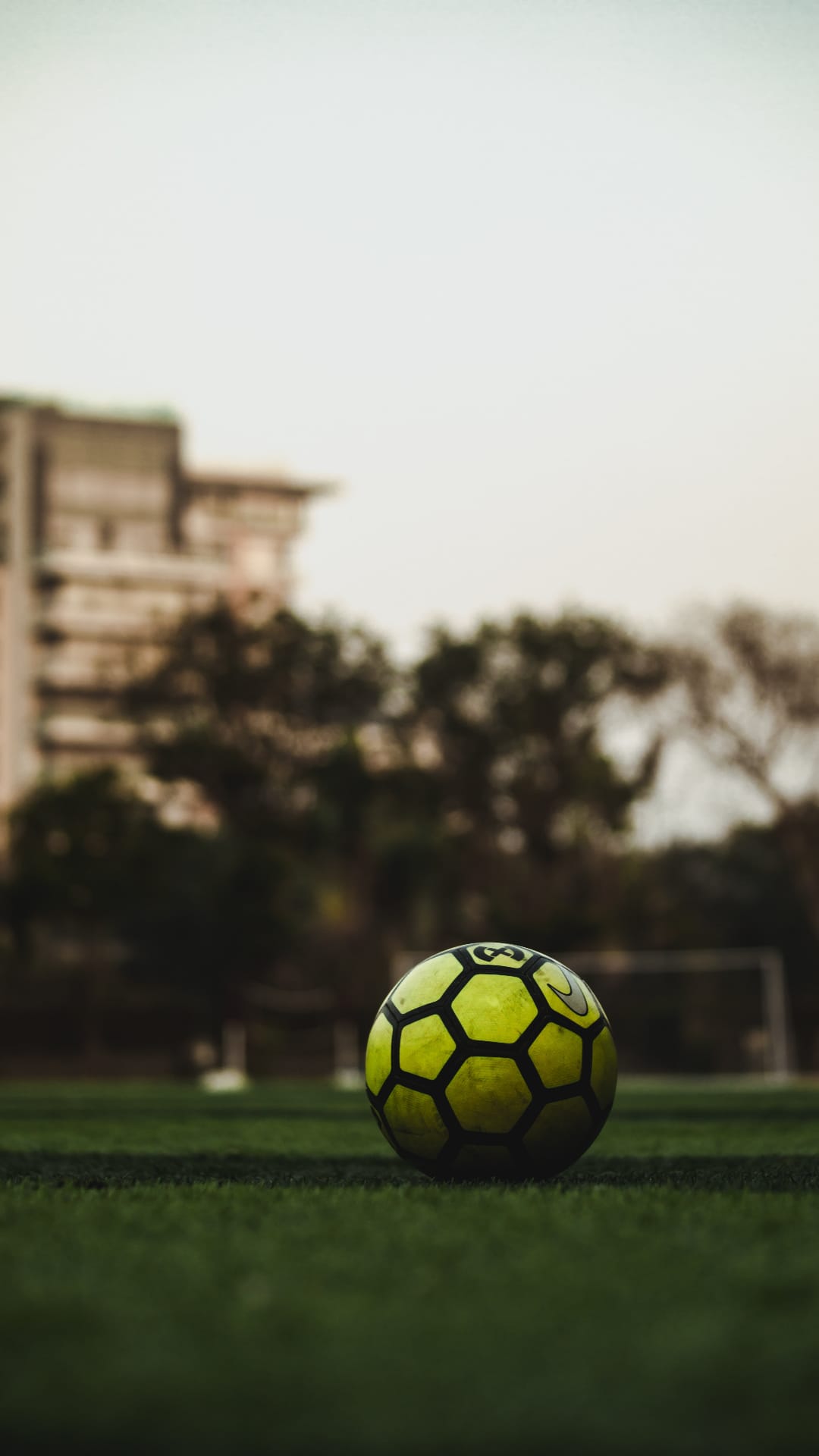 Yellow soccer ball with black panels on a green grass field with blurred buildings and trees in the distance.