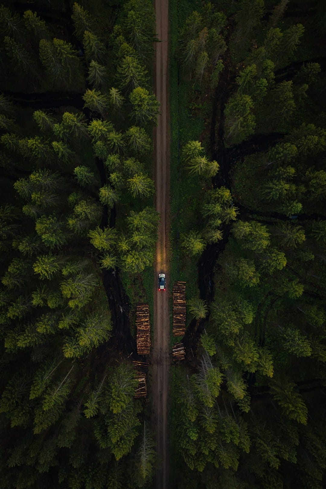 Logging truck hauling timber on a dirt road through dense green forest viewed from a top-down aerial perspective.