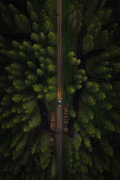 road, aerial view, car, forest, trees, mobile wallpaper, android wallpaper, iPhone wallpaper, phone wallpaper