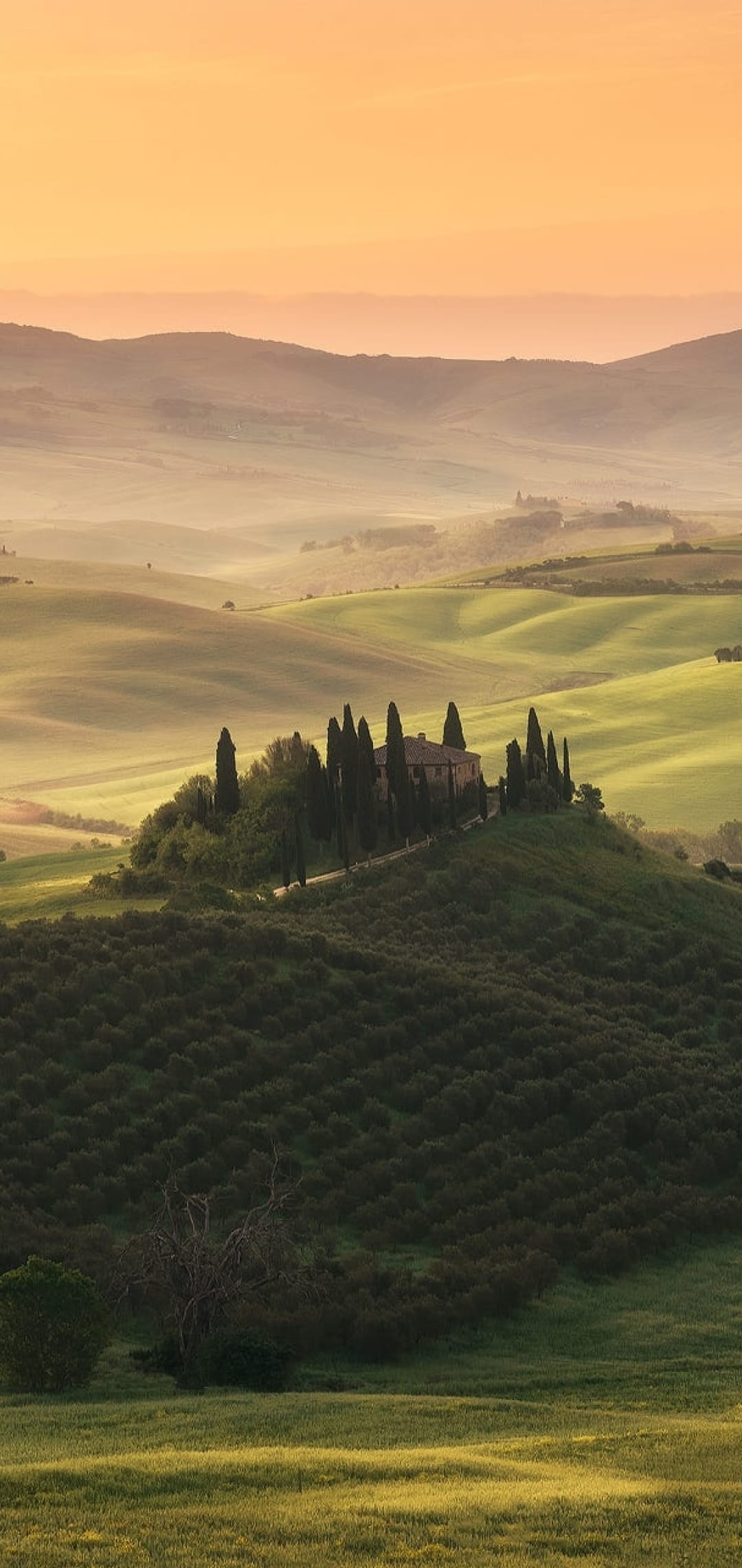 Rolling green hills of Val d'Orcia with a central farmhouse and cypress trees under a golden sunrise sky.