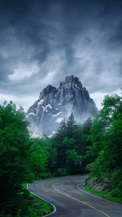 rock,trees,road,turn,nature