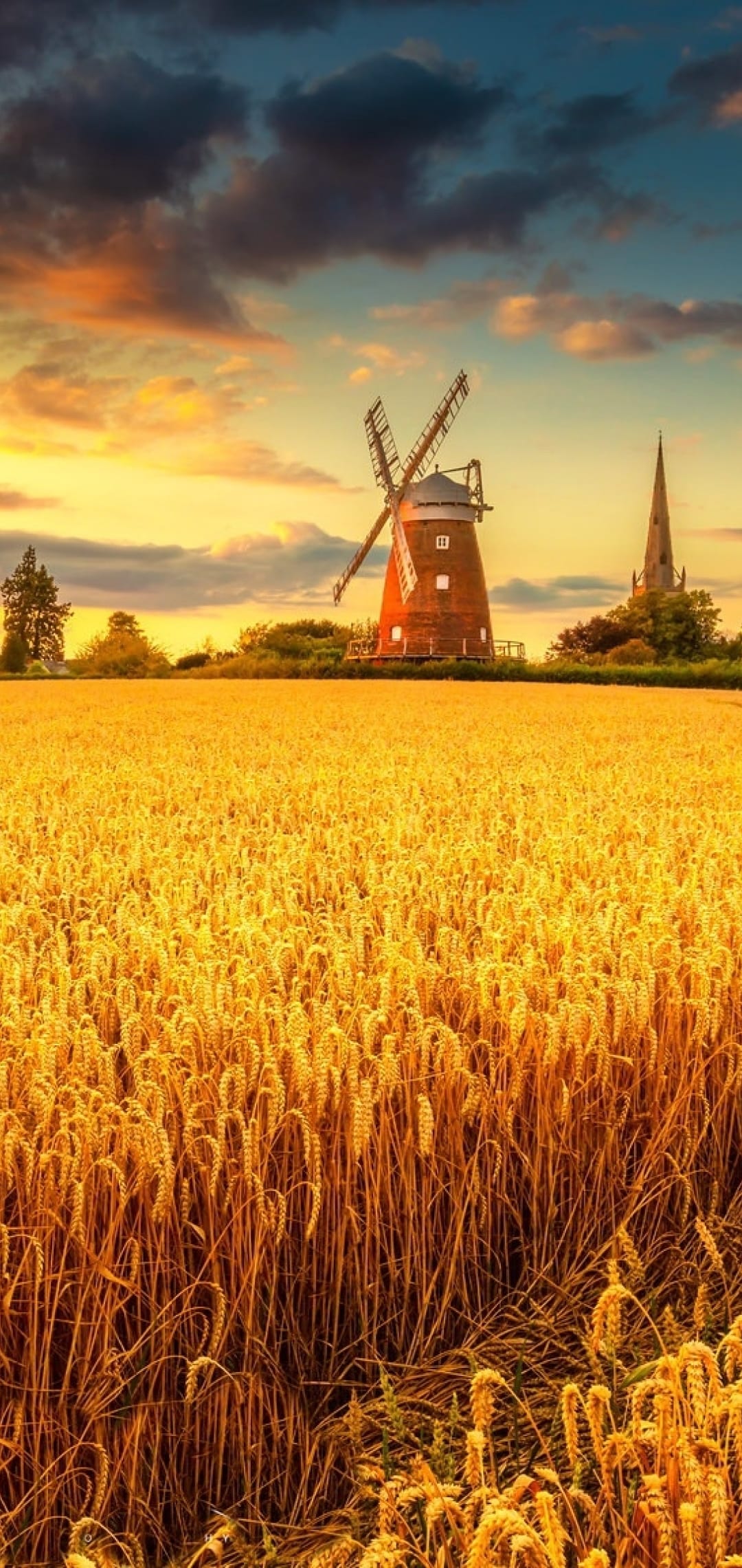 Traditional brick windmill in a golden wheat field under a vibrant sunset sky with a distant church spire.