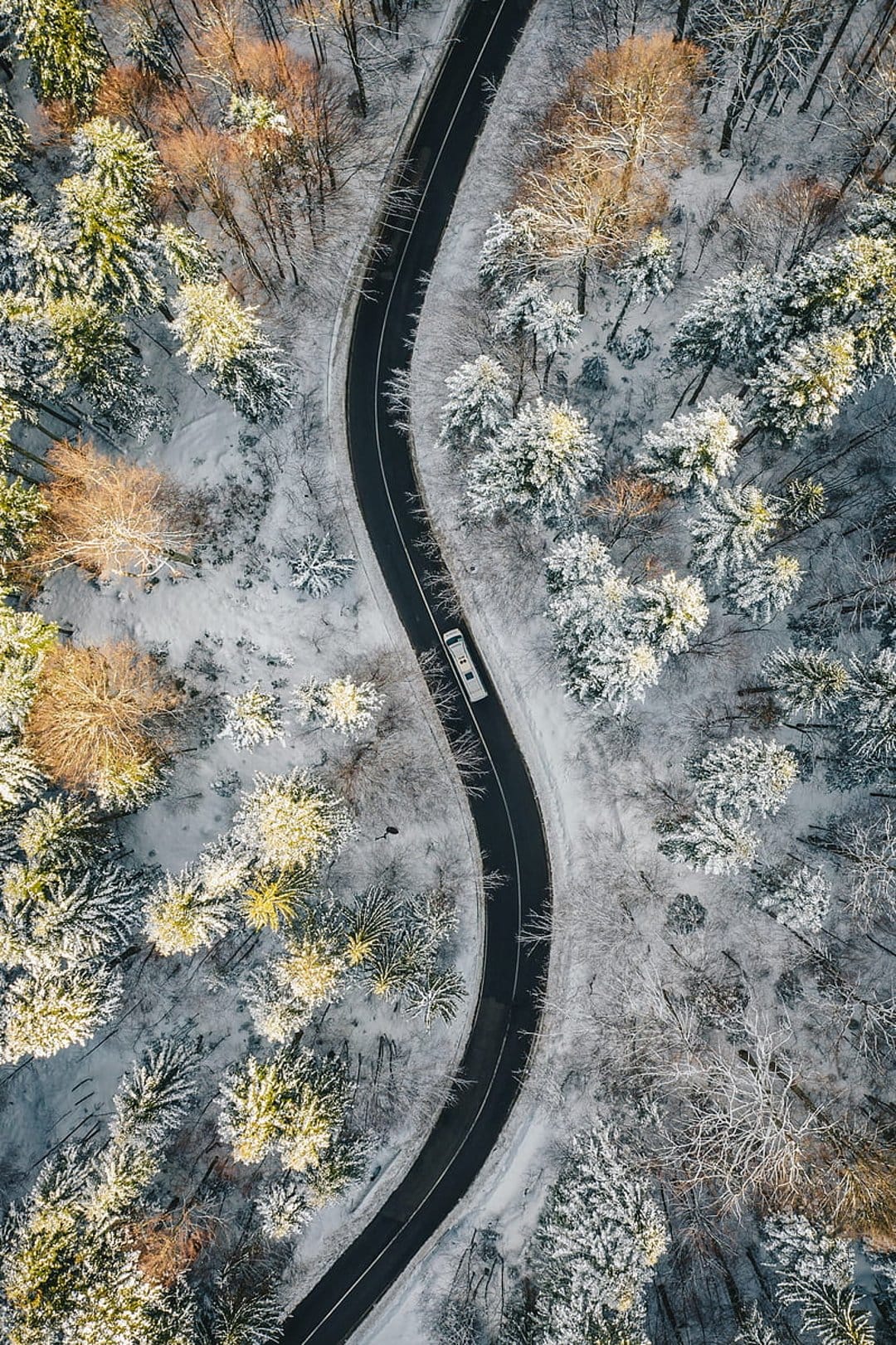 White bus driving on a dark winding road through a snow-covered pine forest seen from an aerial perspective.