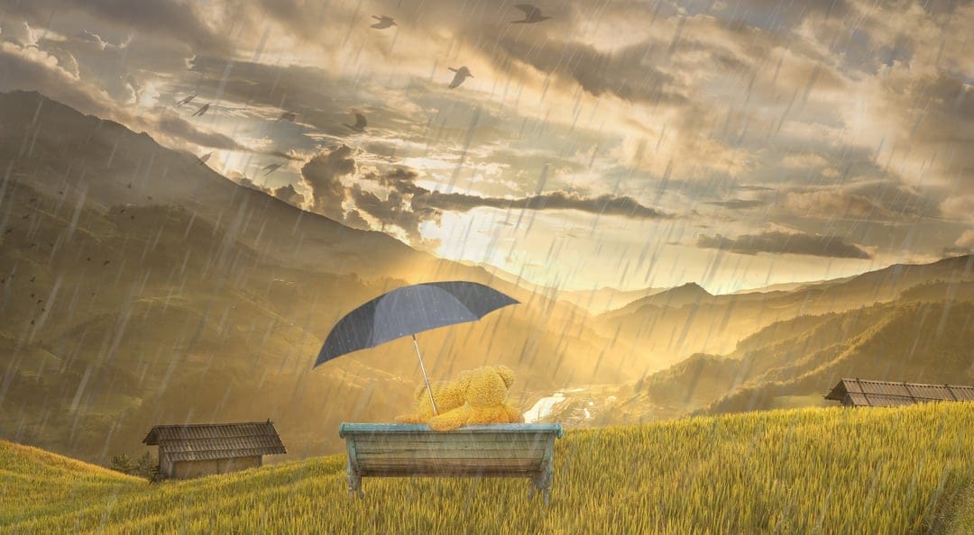 Bear sits under a blue umbrella in a rainy golden field with mountains and sunbeams in the distant background.