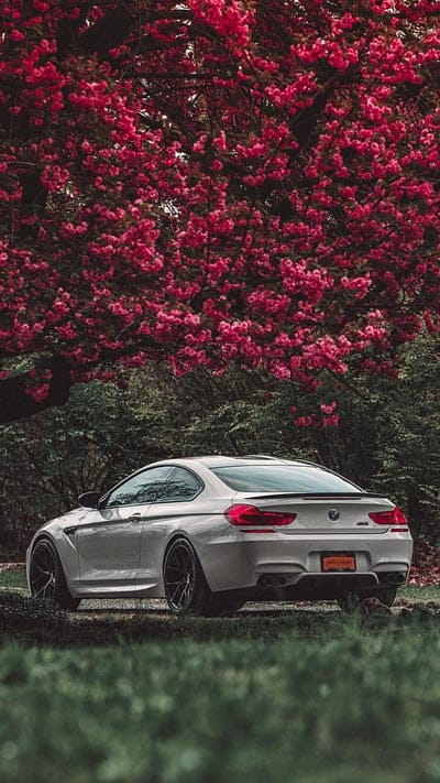 BMW M6, car, coupe, f13, m power, vehicle, white, mobile wallpaper, android wallpaper, iPhone wallpaper, phone wallpaper