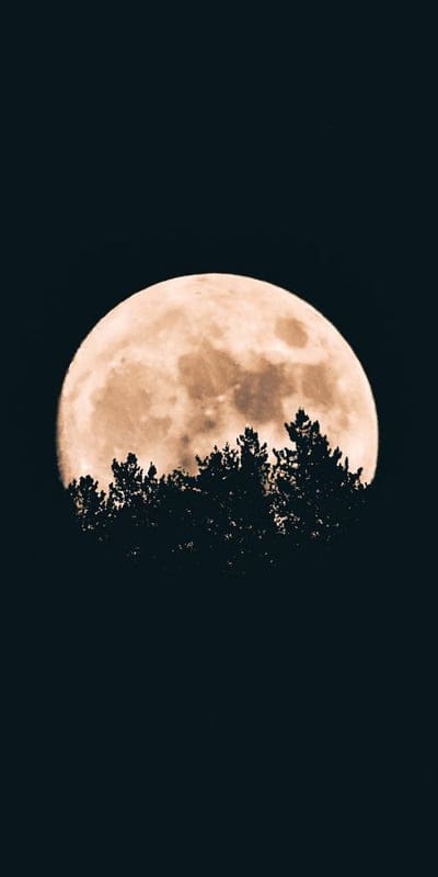 Full moon, Night, Moonrise, Trees, Silhouette, Nature, Celestial, Luminous, Dark, Sky, Mysterious, Dramatic, Moonlight, Forest, Outdoor, Astronomy, Beautiful, Orb, Evening, Scenic
