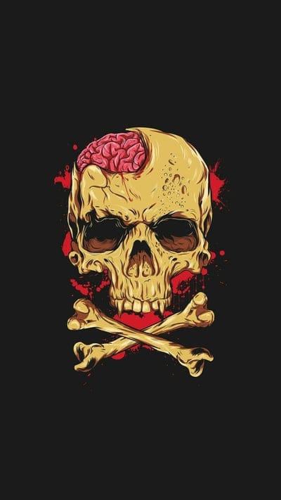 Skull,art,brain