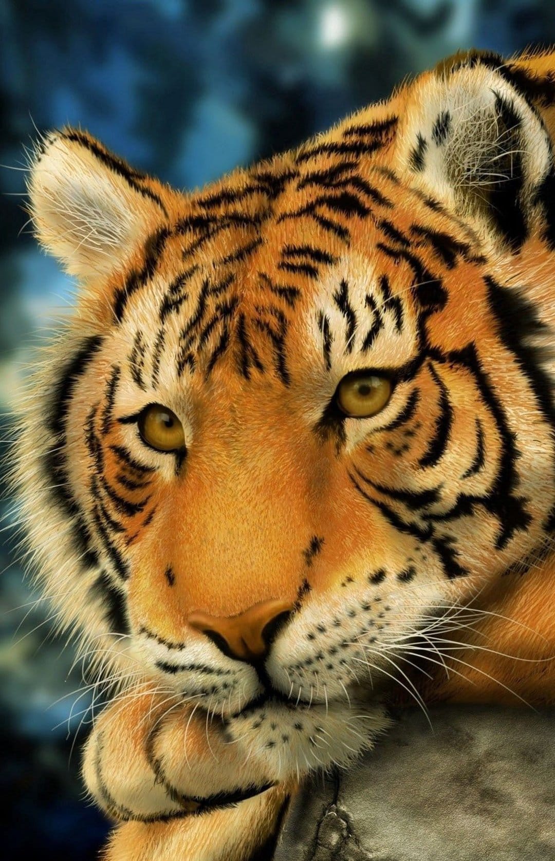 Tiger face with orange fur and black stripes rests on a grey rock showing sharp golden eyes in a close-up view.